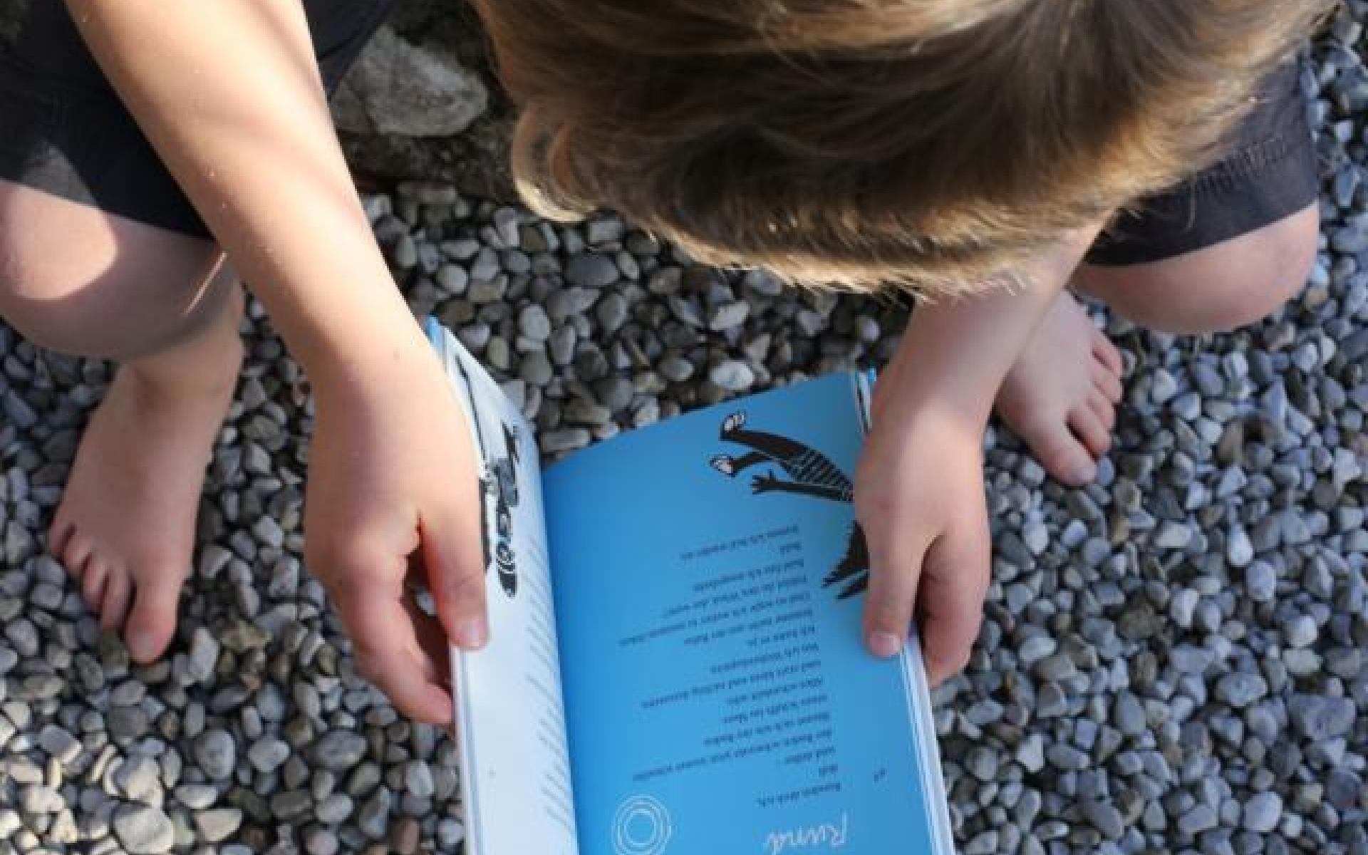 Sommerprogramm Kinder
